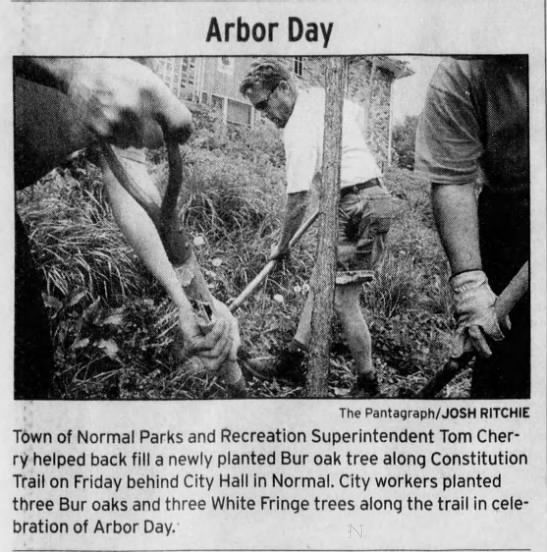 Town of Normal Parks & Rec. newly planted tree